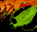 ������п������Ϳ�����ԭ����֪����