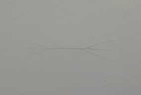 �ط���Ϳ����Ĥ�����ƵĽ������