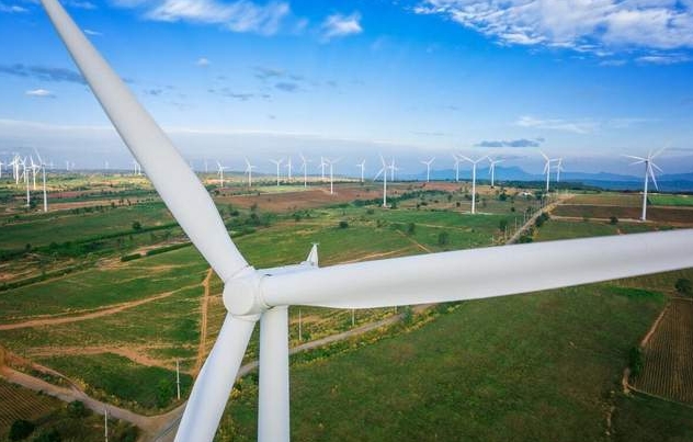 ֬����۰������ᣬ�������������ѡ��