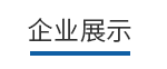 企业展示 企业展示