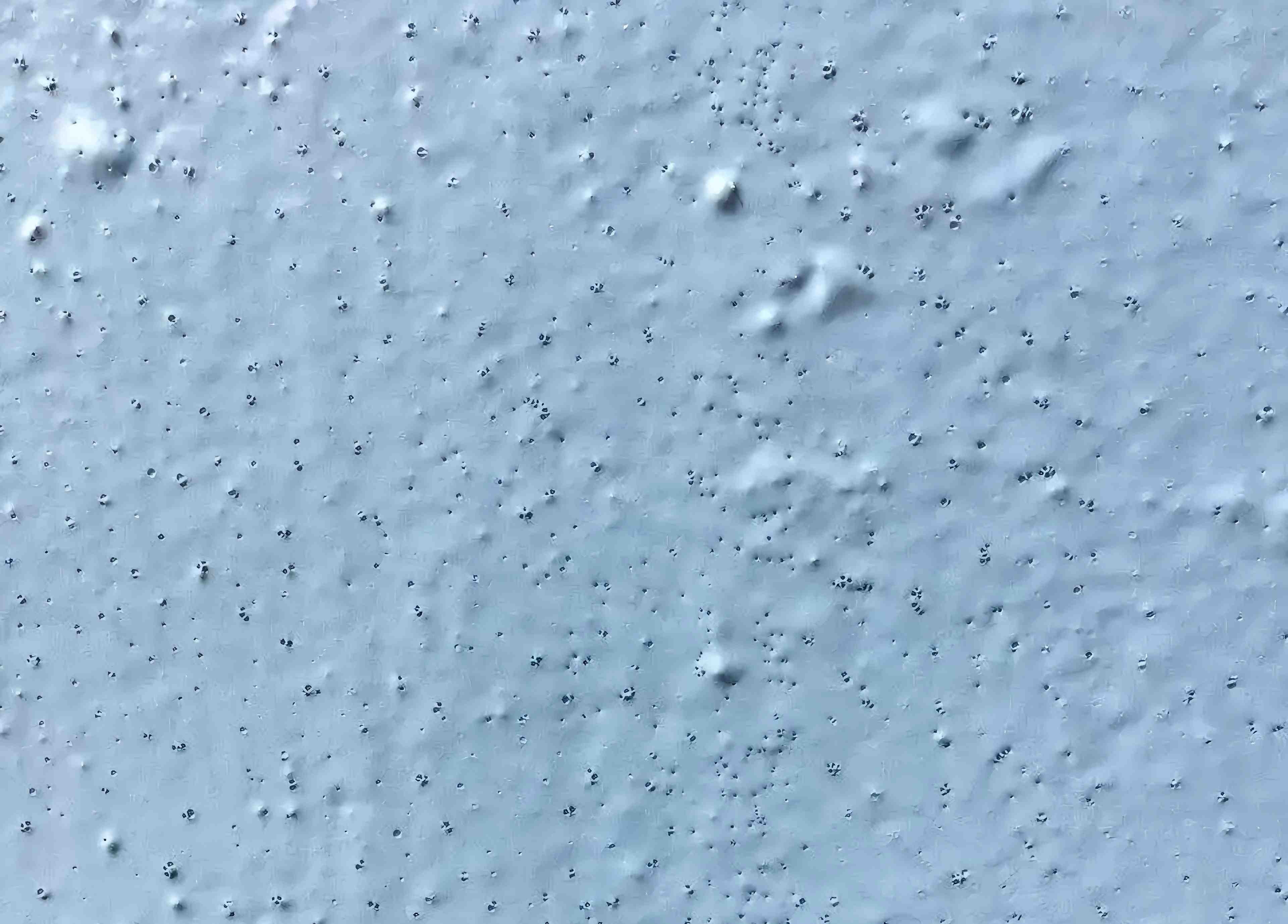 油漆施工缺陷-针孔 油漆施工缺陷-针孔